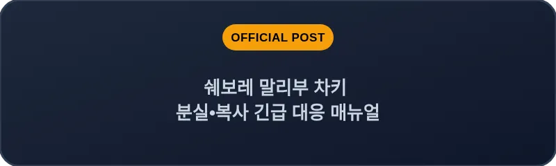 쉐보레 말리부 차키 분실, 스마트키 복사 긴급 대응 매뉴얼