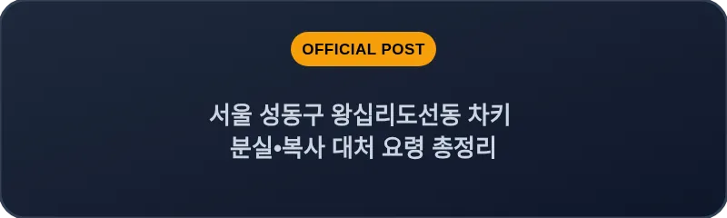 서울 성동구 왕십리도선동 차키 분실•복사 대처 요령 총정리
